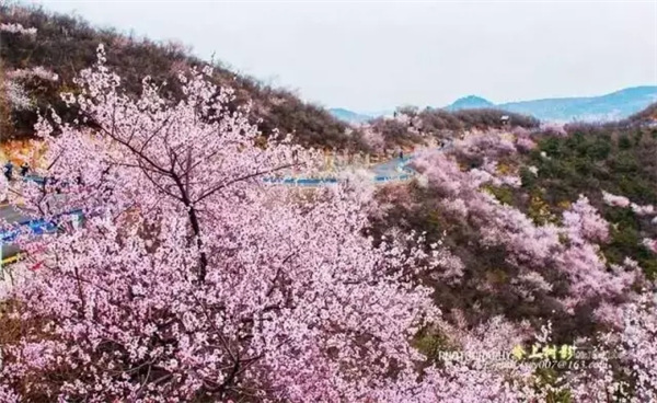 全国小仙女，青天河“三八节”免门票啦！