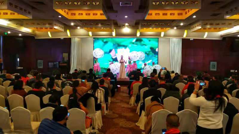 2019台儿庄古城（河南）春季产品推介会成功举行