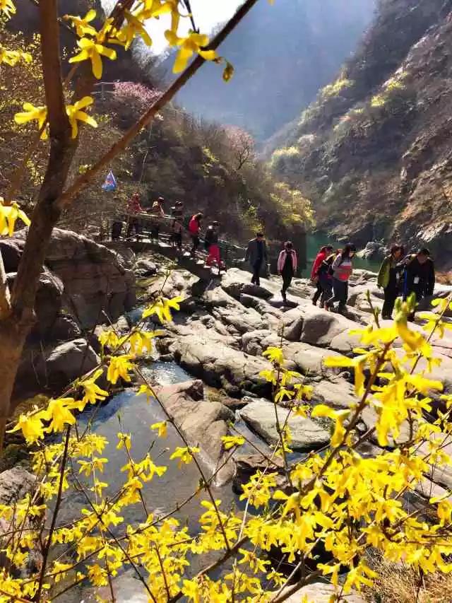 当《中国诗词大会》遇上新乡南太行春景......