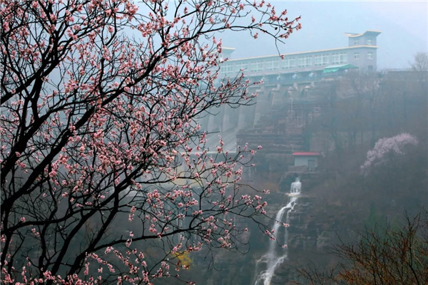 全国女士免门票！云台山汉服花朝节掀起浪漫古风！