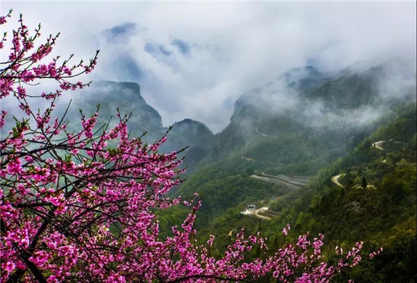 全国女士免门票！云台山汉服花朝节掀起浪漫古风！