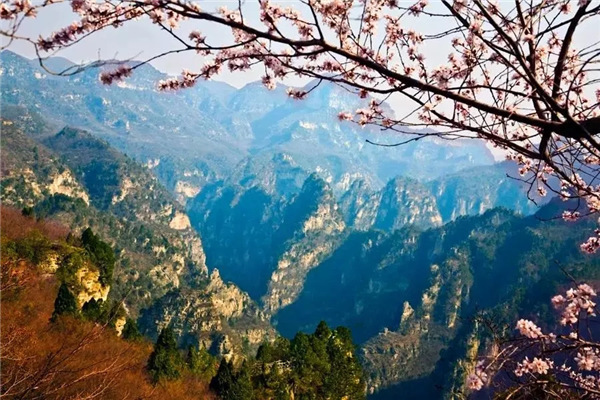 全国女士免门票！云台山汉服花朝节掀起浪漫古风！