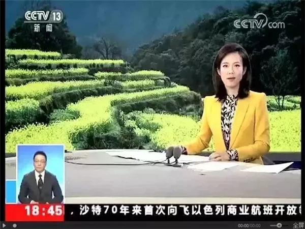 喜讯！青天河荣获中原旅游综合品牌影响力奖！