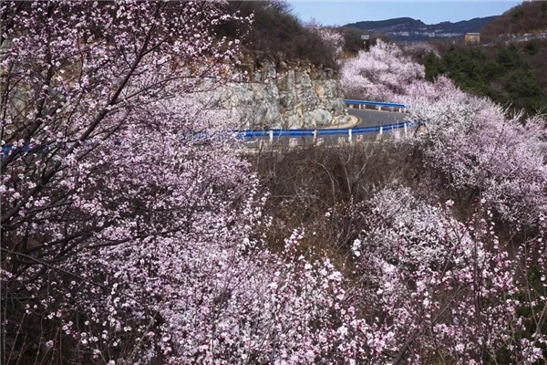 喜讯！青天河荣获中原旅游综合品牌影响力奖！