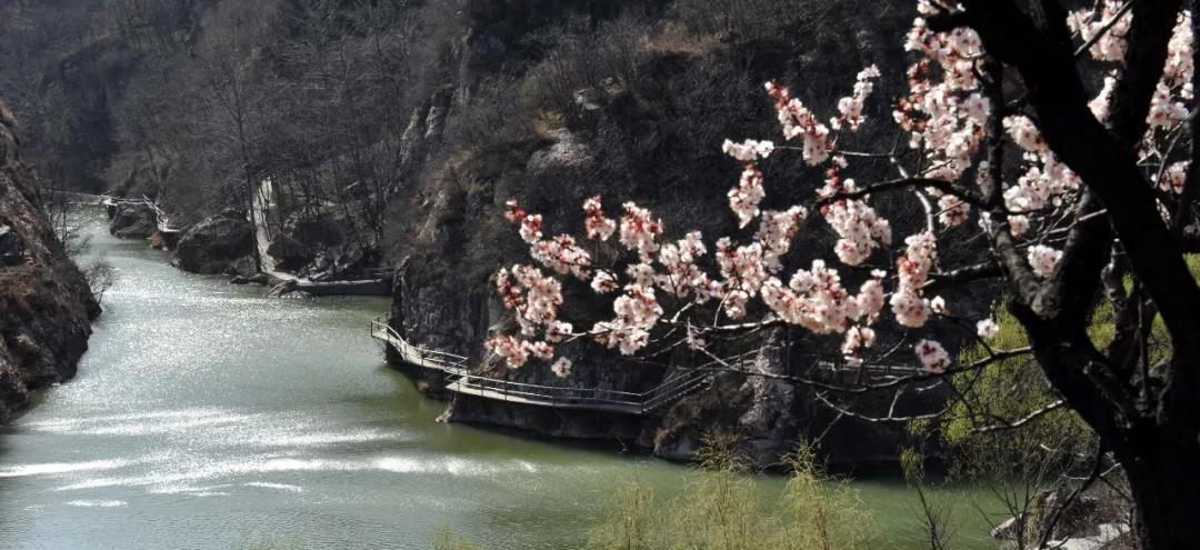 全国女士免门票！三月和浮戏山来一场春天的约惠吧！！