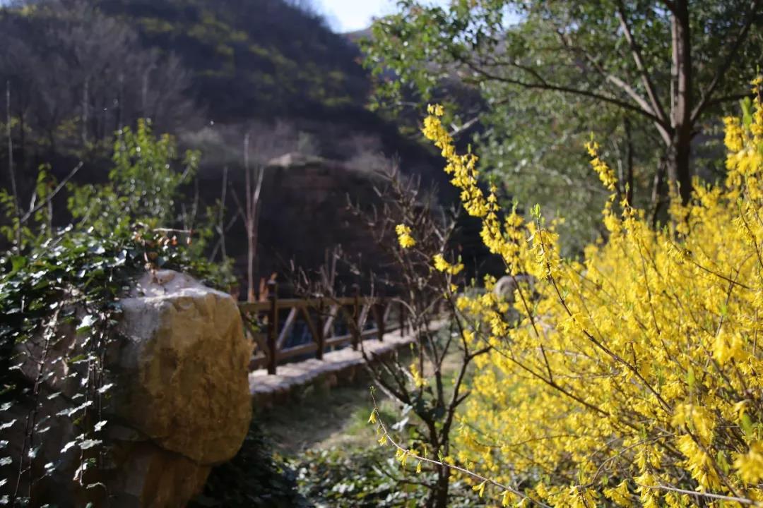 『嗨』草长莺飞花意浓 踏青只向龙潭行~