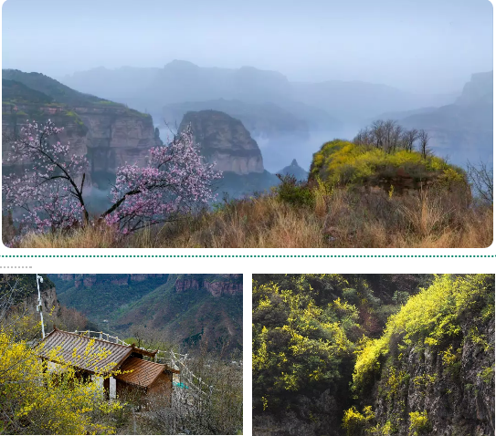 春风十里，醉美的风景在这里——太行大峡谷