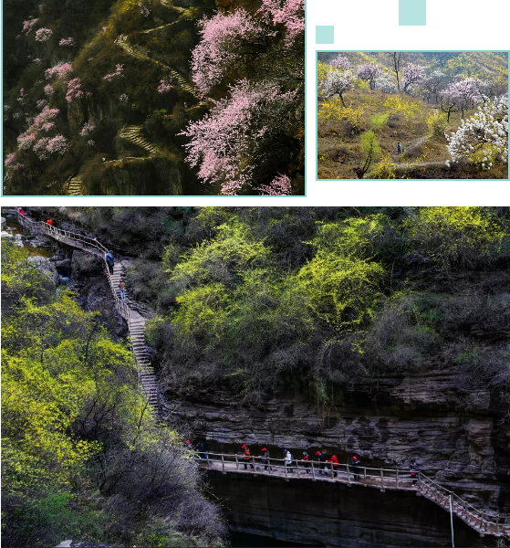 春风十里，醉美的风景在这里——太行大峡谷