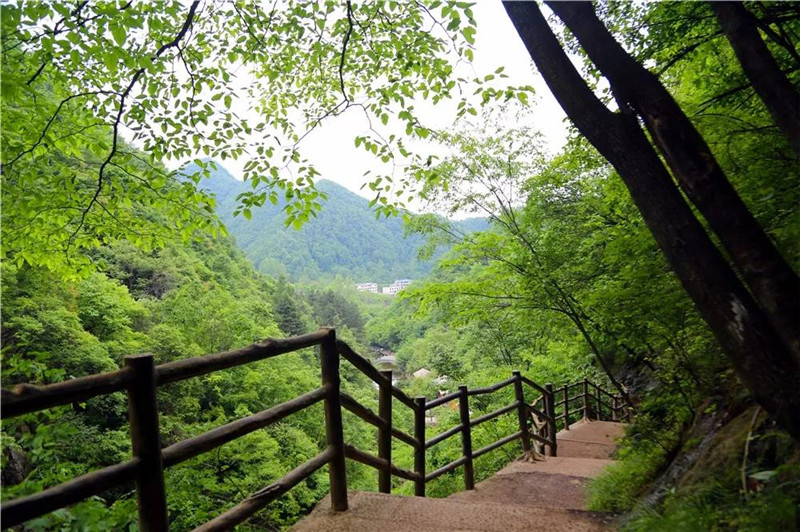 老君山:冬天再见,春天你好 老君山:冬天再见,春天你好