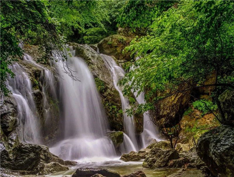 老君山:冬天再见,春天你好 老君山:冬天再见,春天你好
