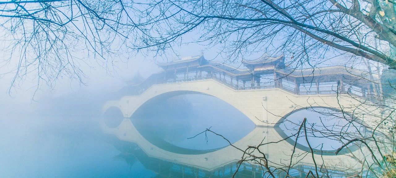 人在画中游，船在景中行 | 来台儿庄古城寻觅古韵建筑之美