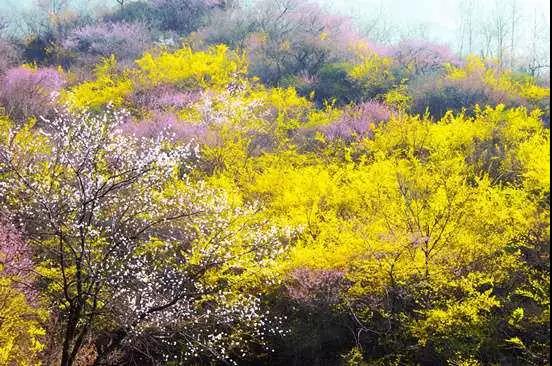 春归熊山,礼献女神,摘星楼奉上踏春盛宴! 春归熊山,礼献女神,摘星楼奉上踏春盛宴!