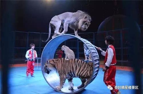 春归熊山,礼献女神,摘星楼奉上踏春盛宴! 春归熊山,礼献女神,摘星楼奉上踏春盛宴!