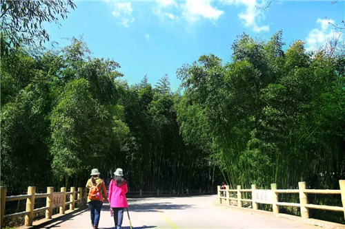 重渡沟三八节特惠 所有人半价 春游踏青好时机