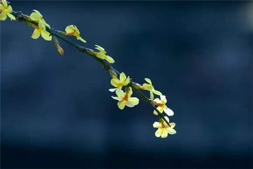 重渡沟三八节特惠 所有人半价 春游踏青好时机