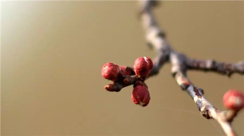 重渡沟三八节特惠 所有人半价 春游踏青好时机