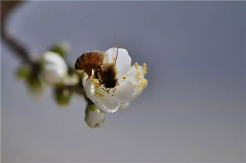 重渡沟三八节特惠 所有人半价 春游踏青好时机