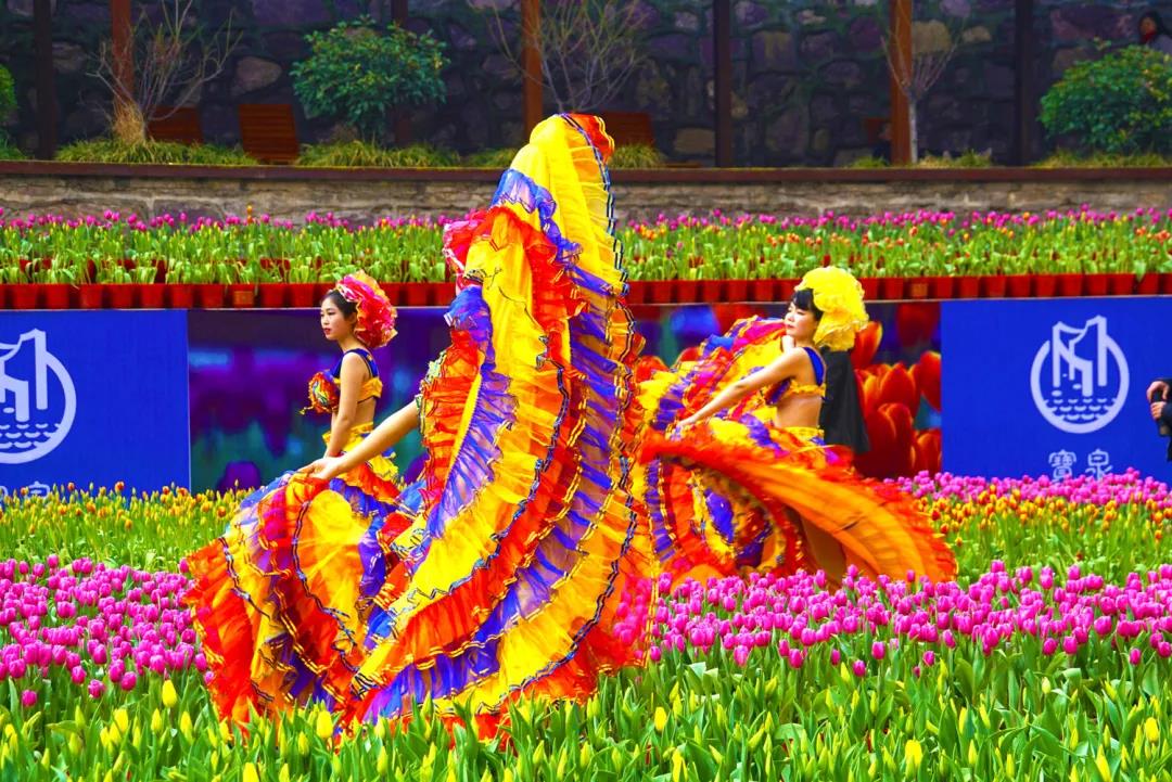 宝泉郁金香踏青赏花节三月惊艳开启,女神节特惠钜献! 宝泉郁金香踏青赏花节三月惊艳开启,女神节特惠钜献!