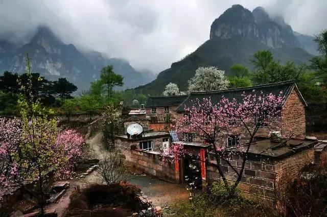 新乡南太行:又到一年桃花季,梦中桃源此处寻 新乡南太行:又到一年桃花季,梦中桃源此处寻