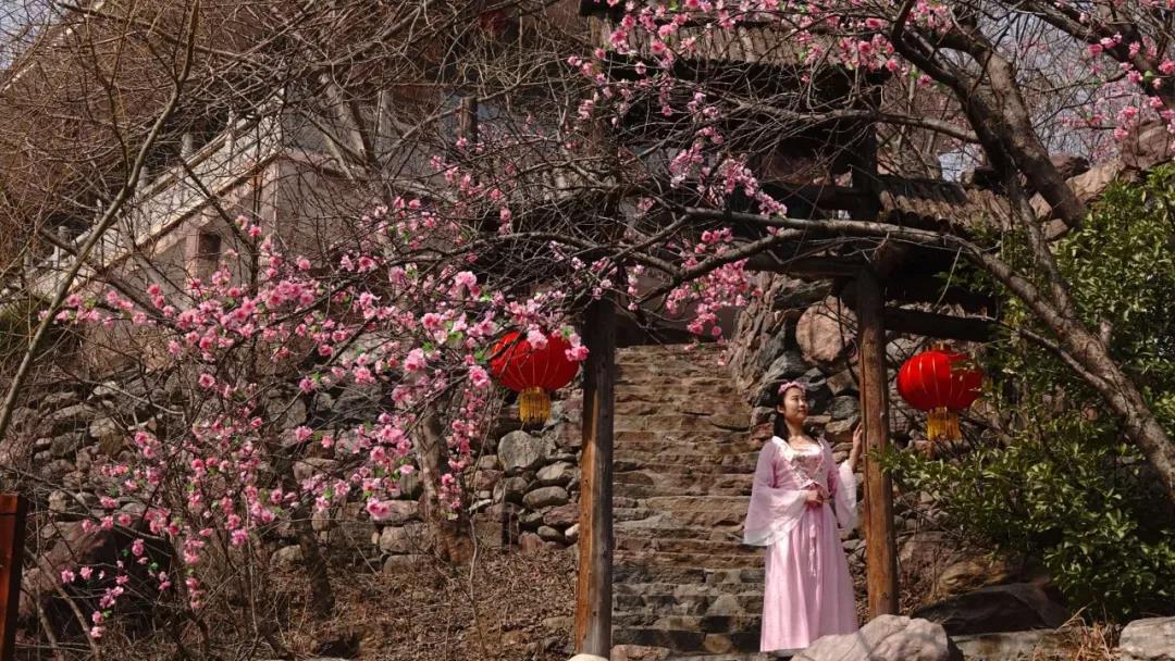 新乡南太行：又到一年桃花季，梦中桃源此处寻