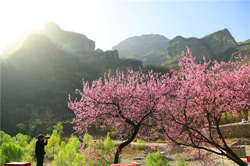 幸福女神节 畅游太行大峡谷 醉在春风里
