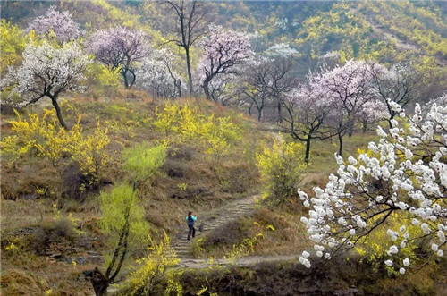 幸福女神节 畅游太行大峡谷 醉在春风里