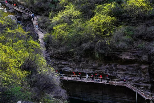 幸福女神节 畅游太行大峡谷 醉在春风里