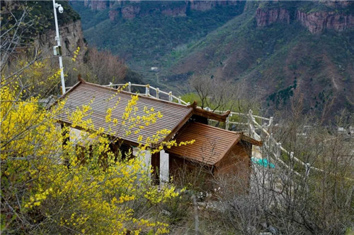 幸福女神节 畅游太行大峡谷 醉在春风里
