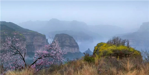 幸福女神节 畅游太行大峡谷 醉在春风里