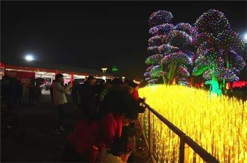 绿博园花灯展倒计时 错过再等一年