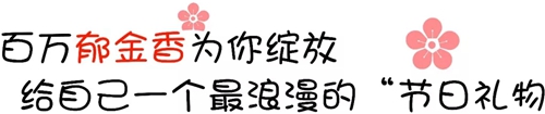 宝泉景区“三八节”免门票 百万郁金香为你绽放