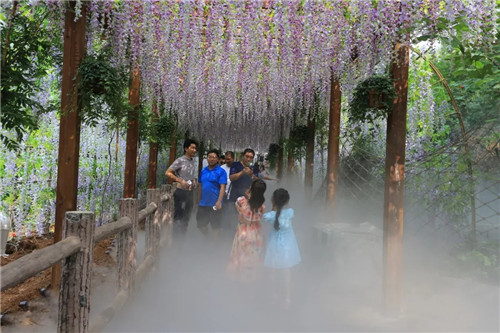 云台山汉服花朝节旅游攻略送给满怀期待的你