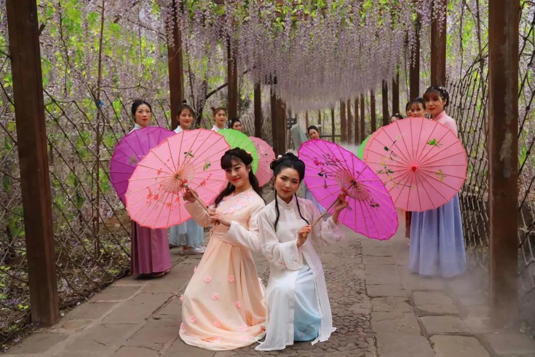 浪漫三月，云台山万亩花海即将缤纷绽放！
