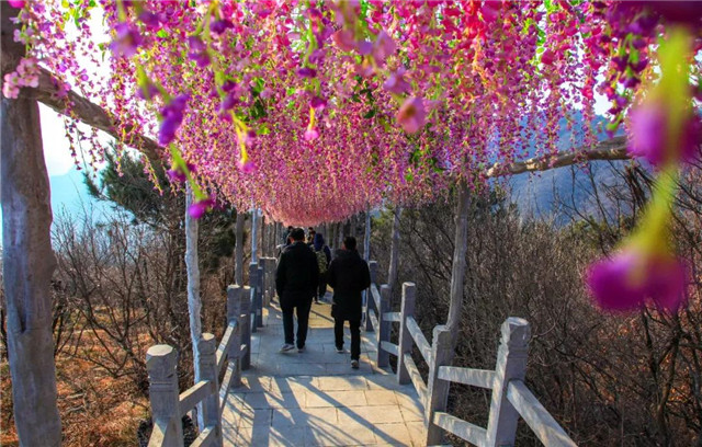 踏青赏花季，青龙峡景区满血回归，新玩法燃爆这个春天！
