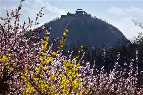 云台山万亩花海即将绽放 来场浪漫的旅行邂逅吧