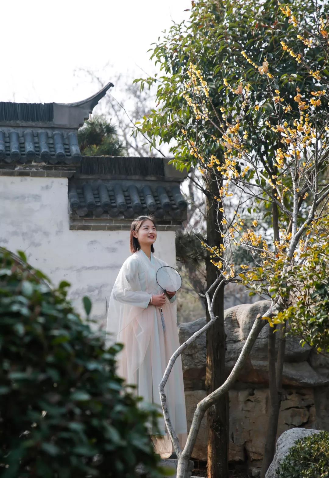 台儿庄春天了解一下，可否与你在这儿赴一场春日里的约会？
