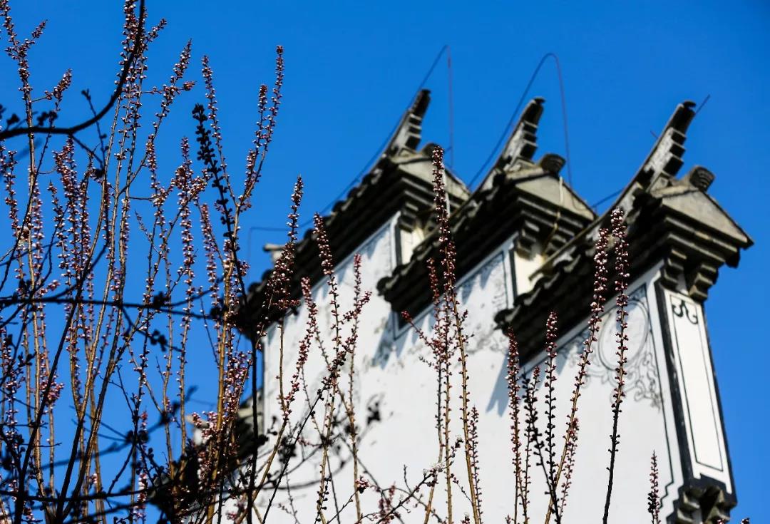 台儿庄春天了解一下，可否与你在这儿赴一场春日里的约会？
