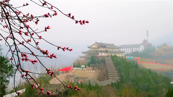 三八节免门票 海陆空全体验玩转黄河三峡