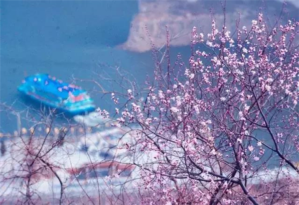 三八节免门票 海陆空全体验玩转黄河三峡