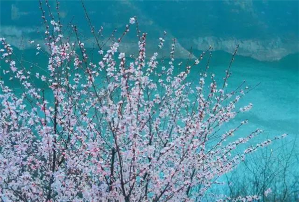 三八节免门票 海陆空全体验玩转黄河三峡