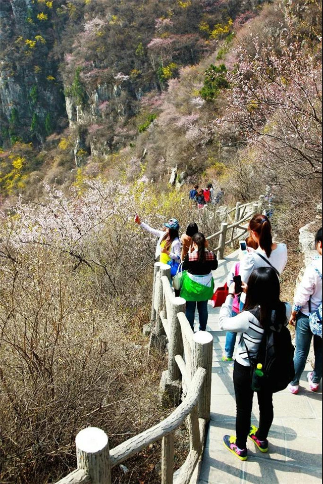 女神节全国女士免门票！青龙峡首届迎春花节送您浪漫之旅!