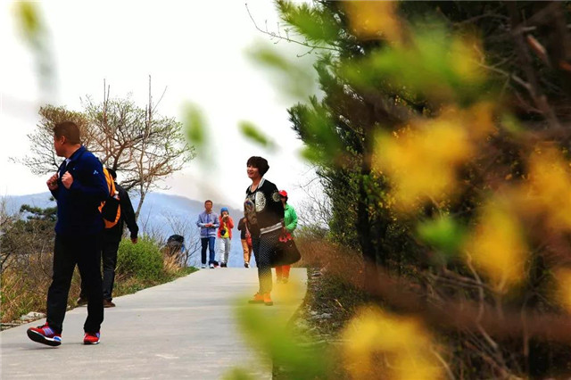 女神节全国女士免门票！青龙峡首届迎春花节送您浪漫之旅!