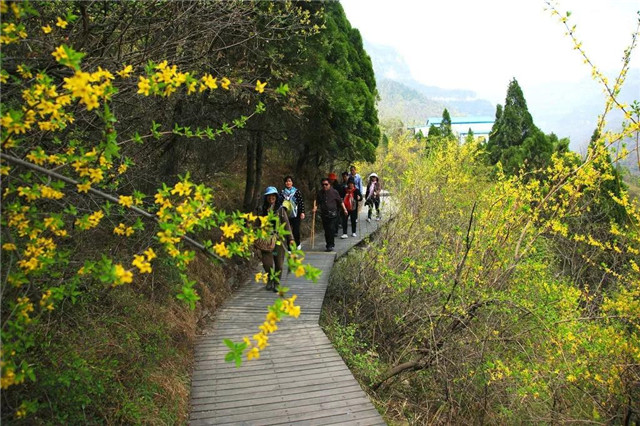 女神节全国女士免门票！青龙峡首届迎春花节送您浪漫之旅!