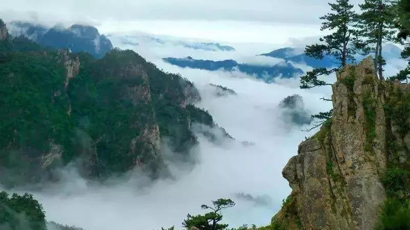 三八节期间，南阳市多家景区推出优惠活动