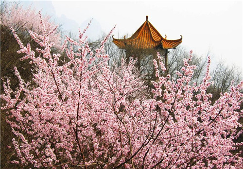免票女神节,中国猴山五龙口西游秘境演绎经典西游文化! 免票女神节,中国猴山五龙口西游秘境演绎经典西游文化!