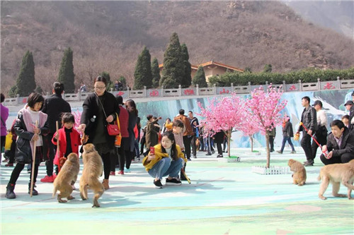 免票女神节,中国猴山五龙口西游秘境演绎经典西游文化! 免票女神节,中国猴山五龙口西游秘境演绎经典西游文化!
