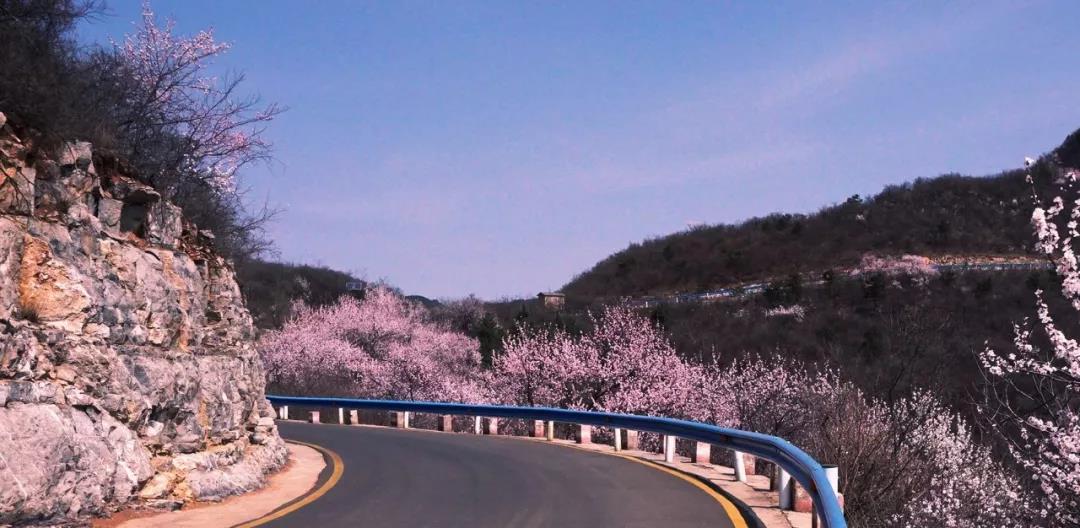今天，让标兵坐前排！