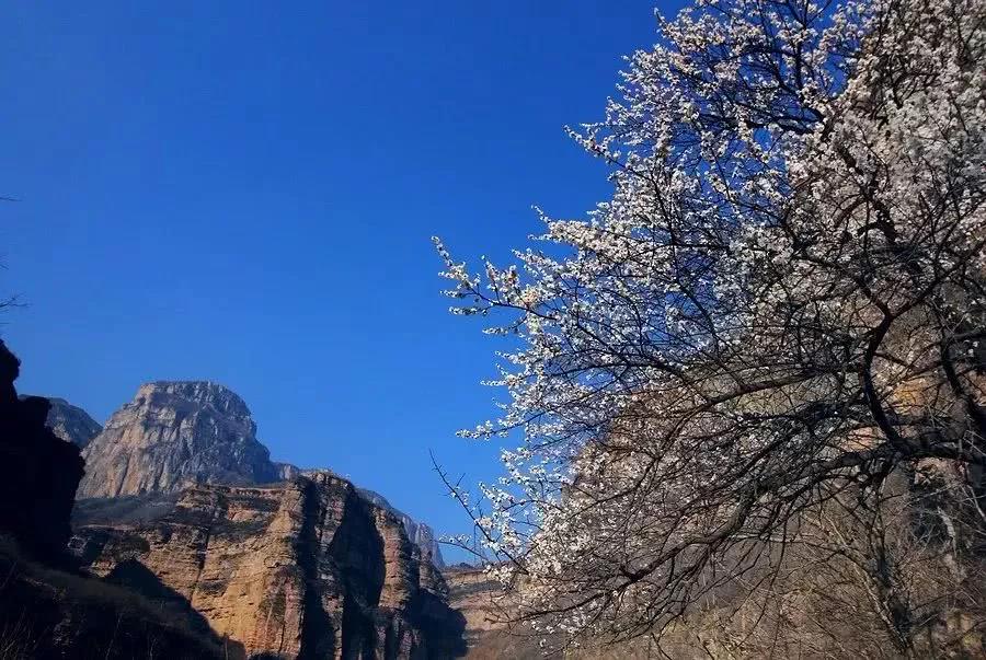 林州太行大峡谷为什么这么火