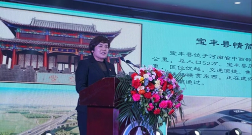 2019年十三省目的地旅业联盟大会·宝丰旅游推介暨宝丰文旅创新高峰论坛举行