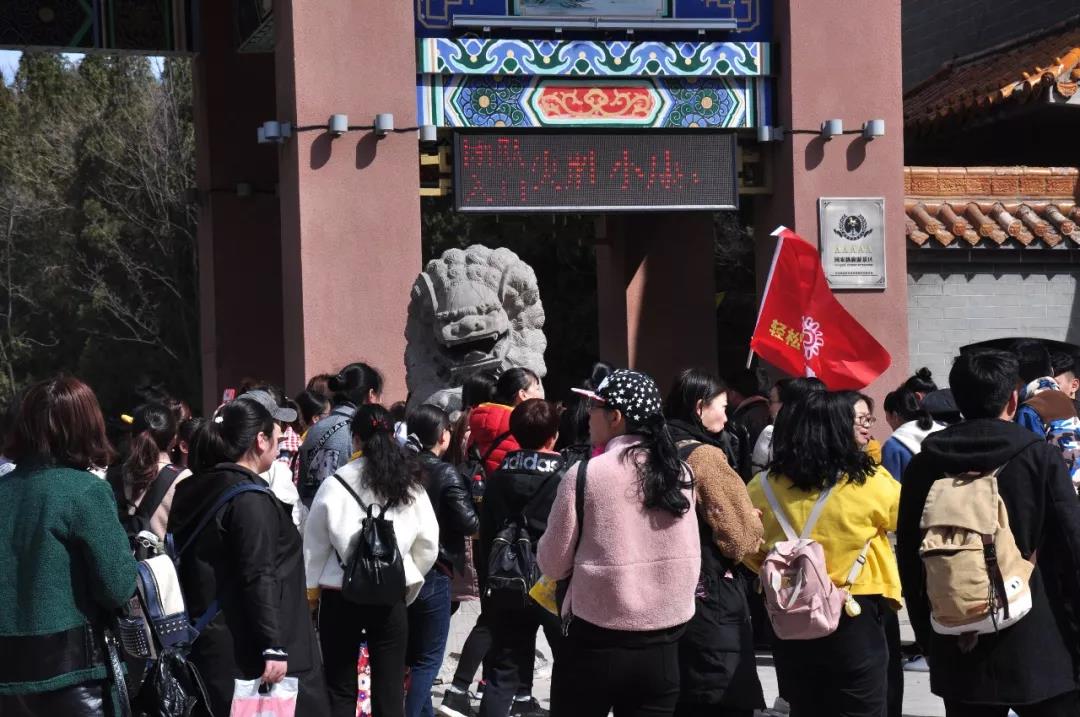 最近，河南这个5A景区被东北人挤爆了！